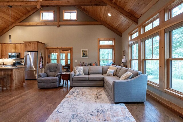 living room with a healthy amount of sunlight, dark hardwood / wood-style floors, and wooden ceiling