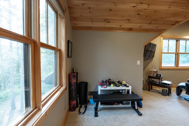 interior space featuring lofted ceiling, carpet, and wooden ceiling