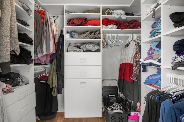 spacious closet featuring hardwood / wood-style flooring