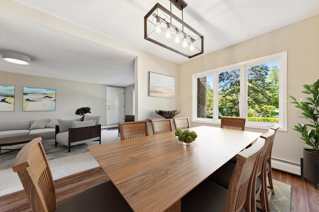 dining room with a baseboard radiator and dark hardwood / wood-style flooring