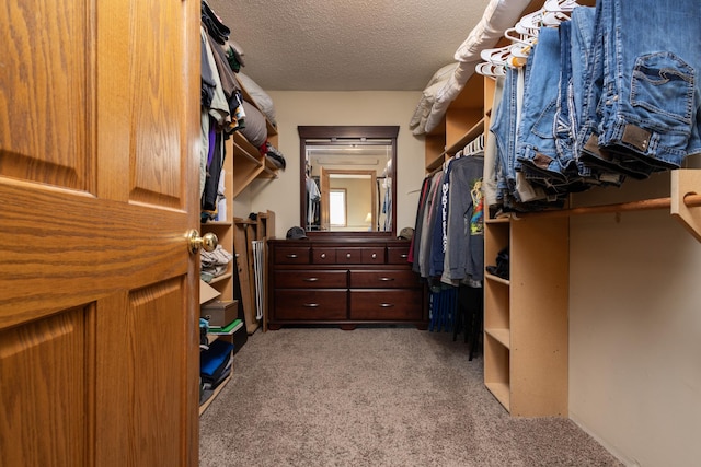 spacious closet featuring light colored carpet