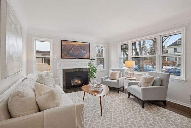 living room featuring wood-type flooring and a fireplace