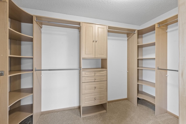 spacious closet with light carpet