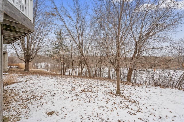 view of yard covered in snow