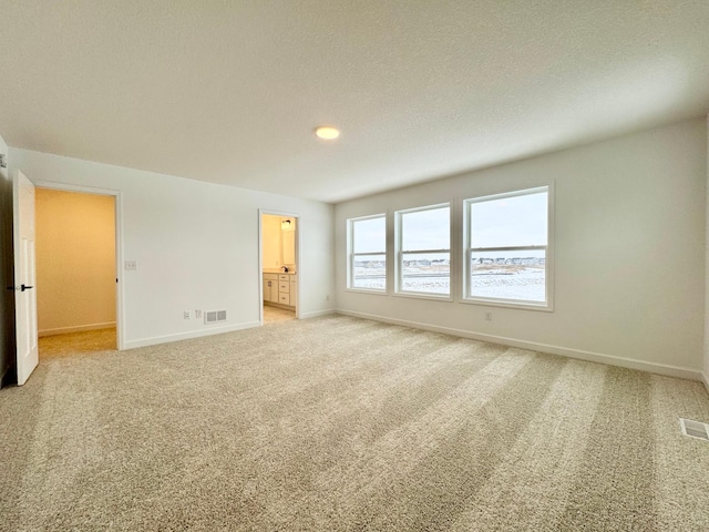 carpeted empty room featuring a textured ceiling