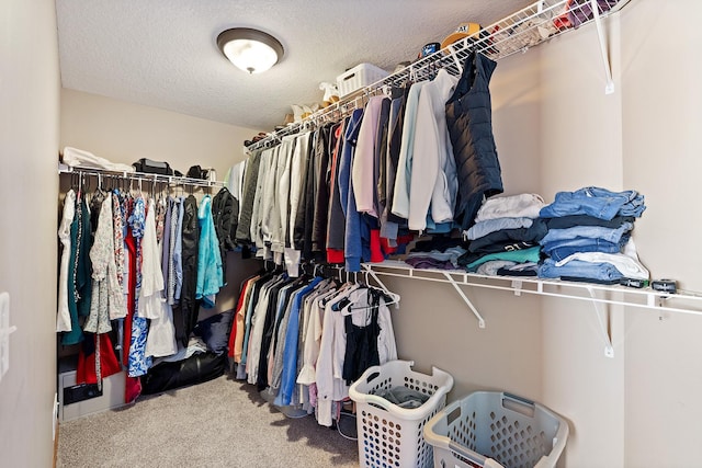 walk in closet featuring light colored carpet