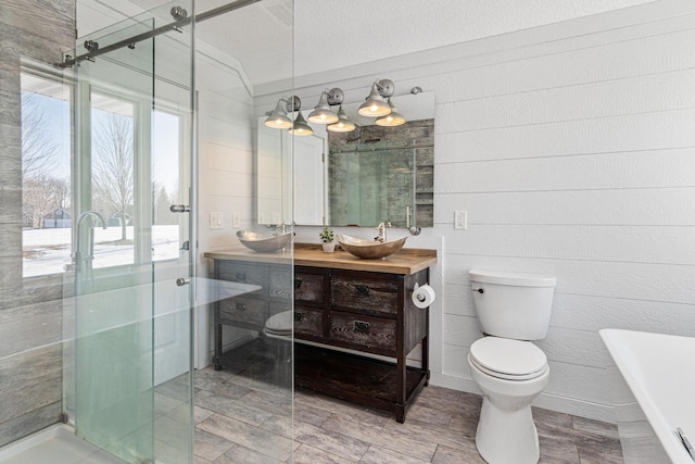 full bathroom with double vanity, a stall shower, a sink, and toilet