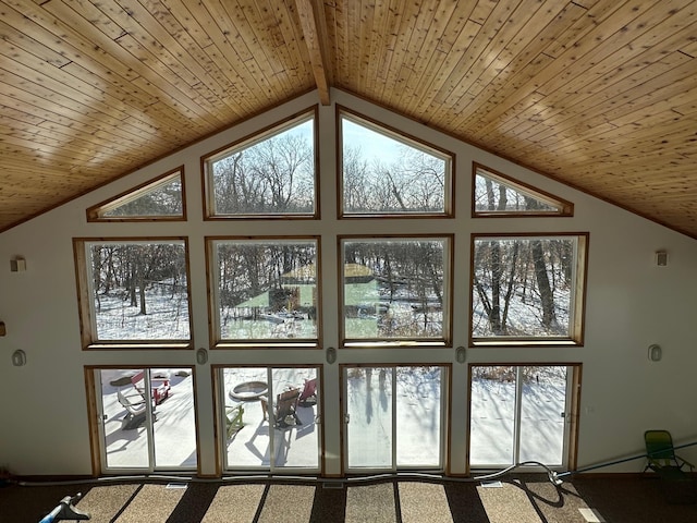 additional living space with high vaulted ceiling, carpet flooring, and wood ceiling