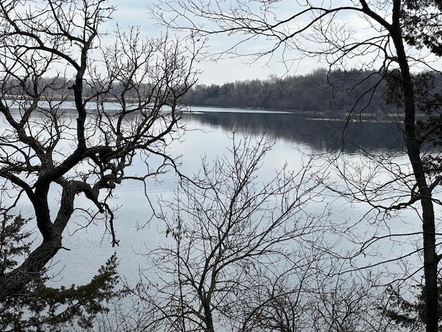 view of water feature featuring a forest view