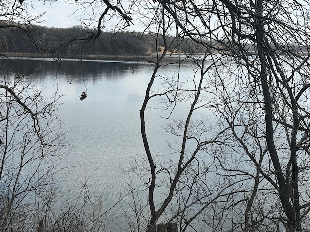 water view with a forest view
