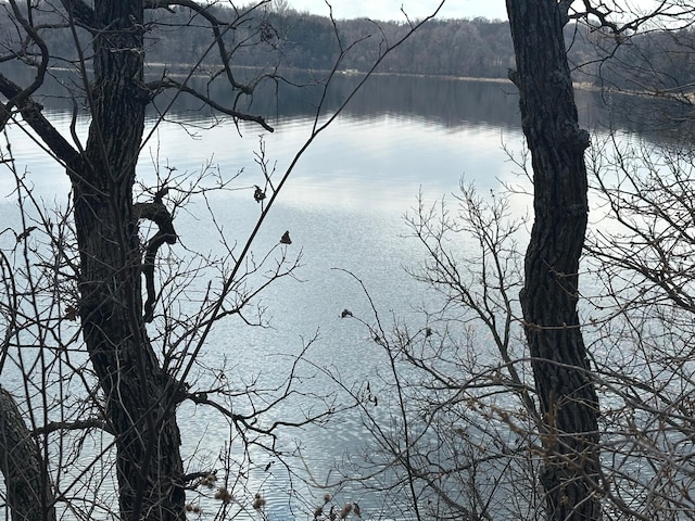 property view of water with a wooded view