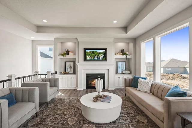 living room featuring plenty of natural light, dark hardwood / wood-style flooring, and a raised ceiling