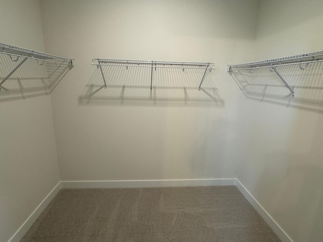 14514 Kingsview Ln, Dayton, MN 55327 - spacious closet featuring carpet flooring