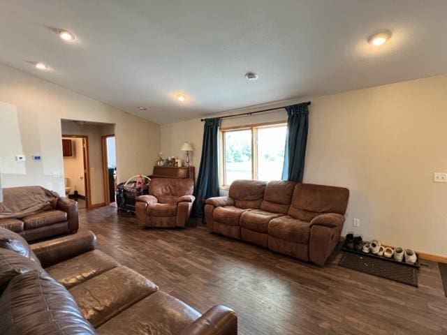 living room featuring lofted ceiling and dark wood-type flooring