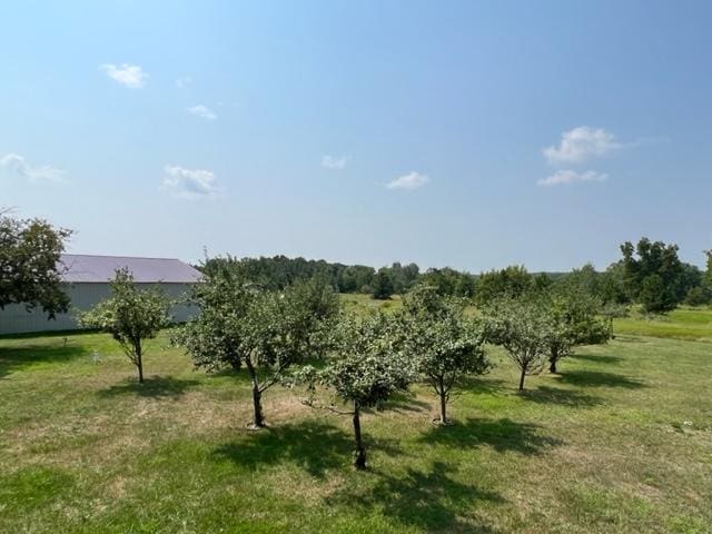 view of local wilderness featuring a rural view