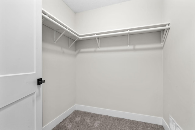 walk in closet featuring carpet