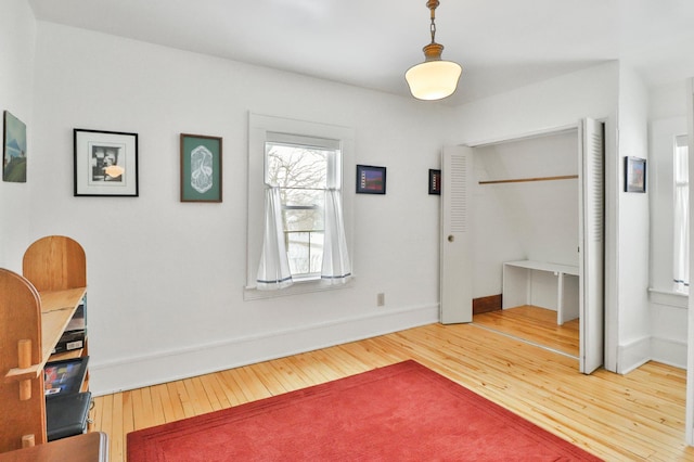 bedroom featuring wood-type flooring