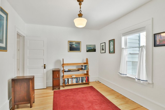 miscellaneous room featuring light wood-type flooring