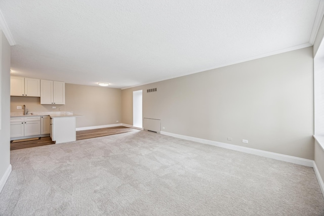 unfurnished living room featuring ornamental molding, sink, light carpet, and a textured ceiling