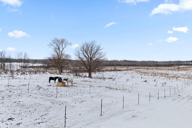 yard layered in snow featuring a rural view
