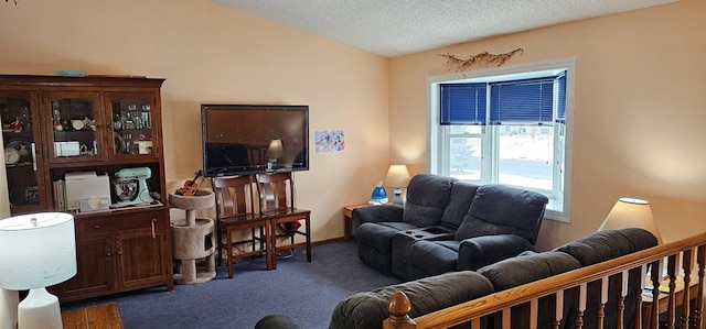 living room with dark colored carpet, vaulted ceiling, and a textured ceiling