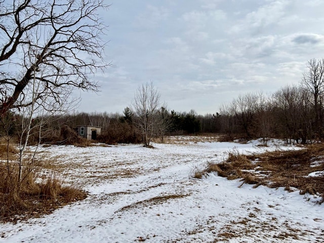 view of yard layered in snow