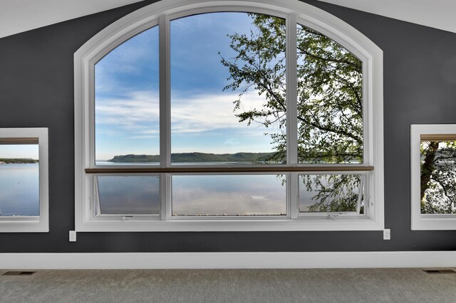 room details with a water view and carpet flooring