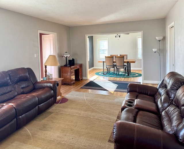 living room with wood finished floors, baseboards, and a textured ceiling