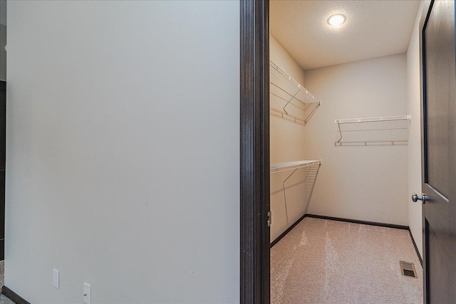 spacious closet with light colored carpet