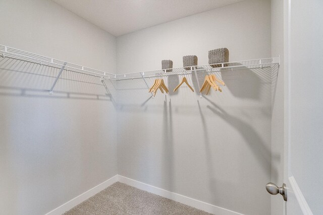 spacious closet with light carpet