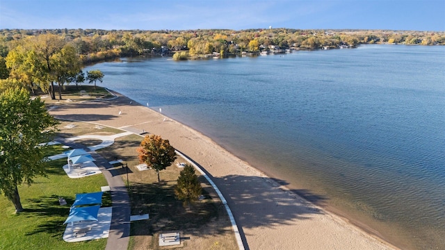 bird's eye view with a water view and a view of trees