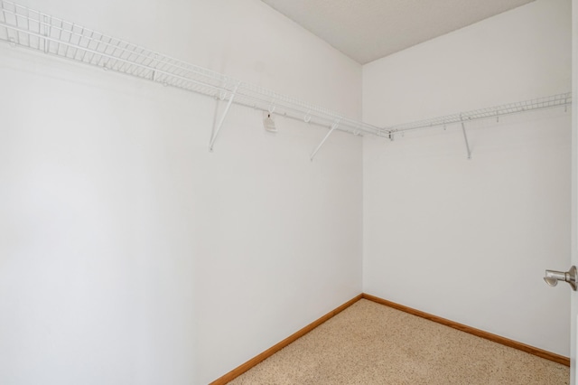 spacious closet with carpet floors