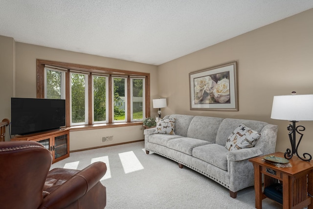 carpeted living room with a textured ceiling