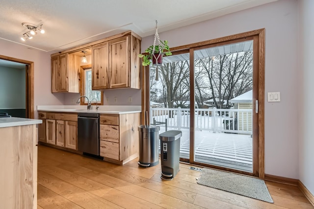 kitchen featuring stainless steel dishwasher and light wood-type flooring