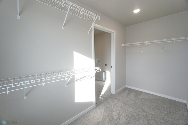 6020 80th Ave S, Fargo, ND 58047 - spacious closet with carpet