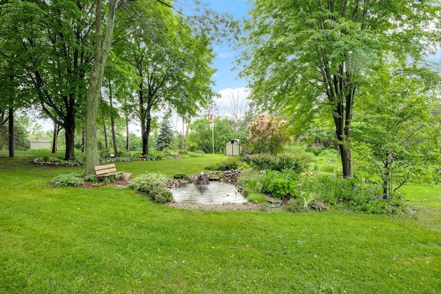 view of yard with an outbuilding