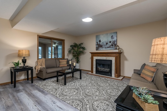 living room with hardwood / wood-style floors and a fireplace