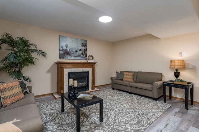 living room featuring a premium fireplace and light hardwood / wood-style floors