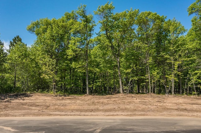 L10, B2 Sanctuary Ln, Brainerd, MN 56401