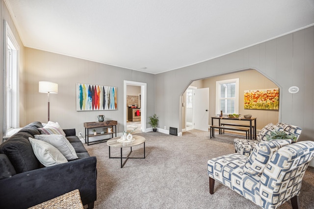 carpeted living room featuring ornamental molding and plenty of natural light