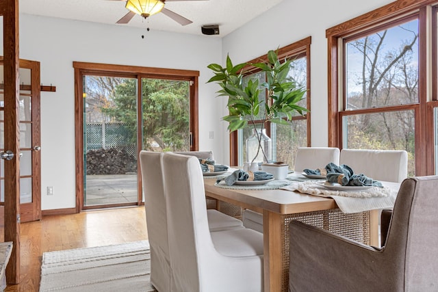 dining room featuring ceiling fan, a wealth of natural light, and light wood-type flooring