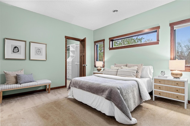 carpeted bedroom with a spacious closet and a closet