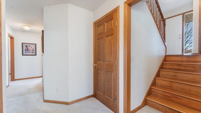 stairway with carpet and baseboards