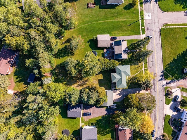 drone / aerial view