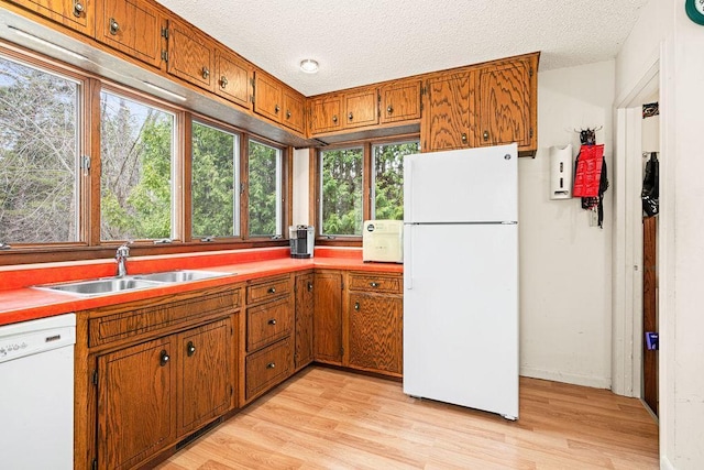 kitchen featuring brown cabinetry, a sink, white appliances, and light wood-type flooring