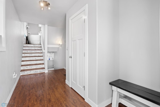 hall featuring dark hardwood / wood-style floors