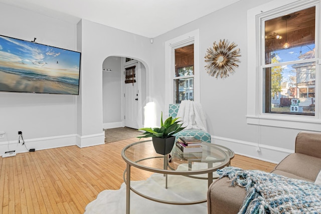 living room featuring a wealth of natural light and hardwood / wood-style floors