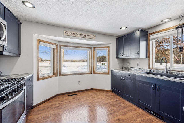 kitchen featuring hardwood / wood-style flooring, stainless steel appliances, sink, and plenty of natural light