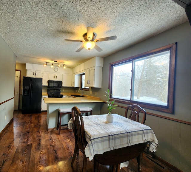 dining area with sink, dark hardwood / wood-style floors, a textured ceiling, and ceiling fan