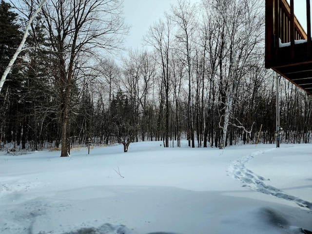 view of yard covered in snow